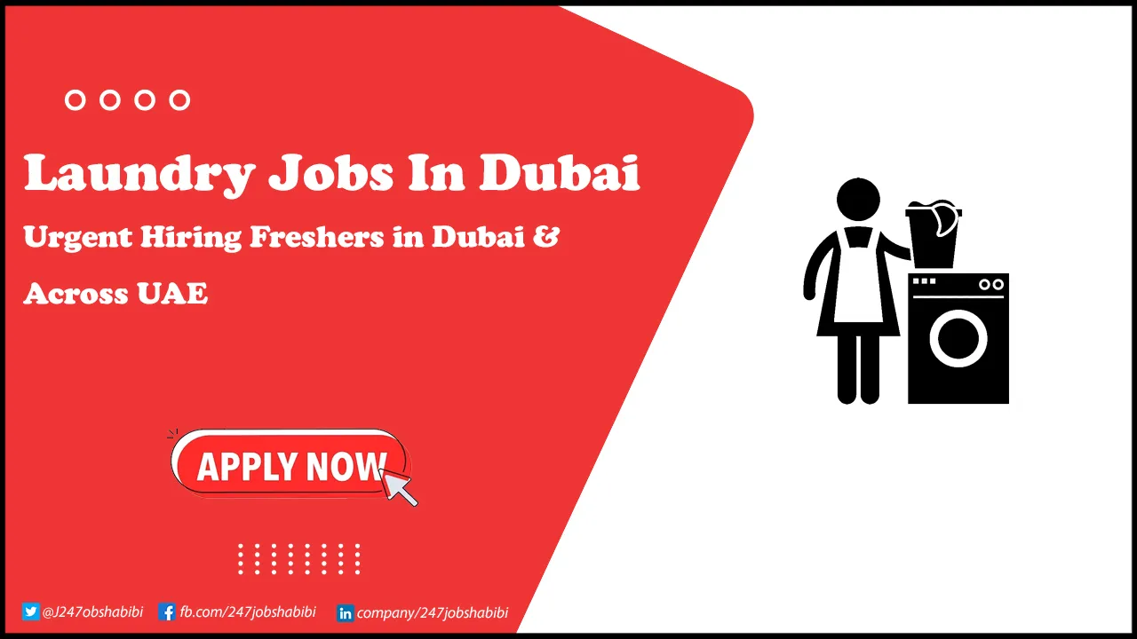 Laundry Jobs in Dubai